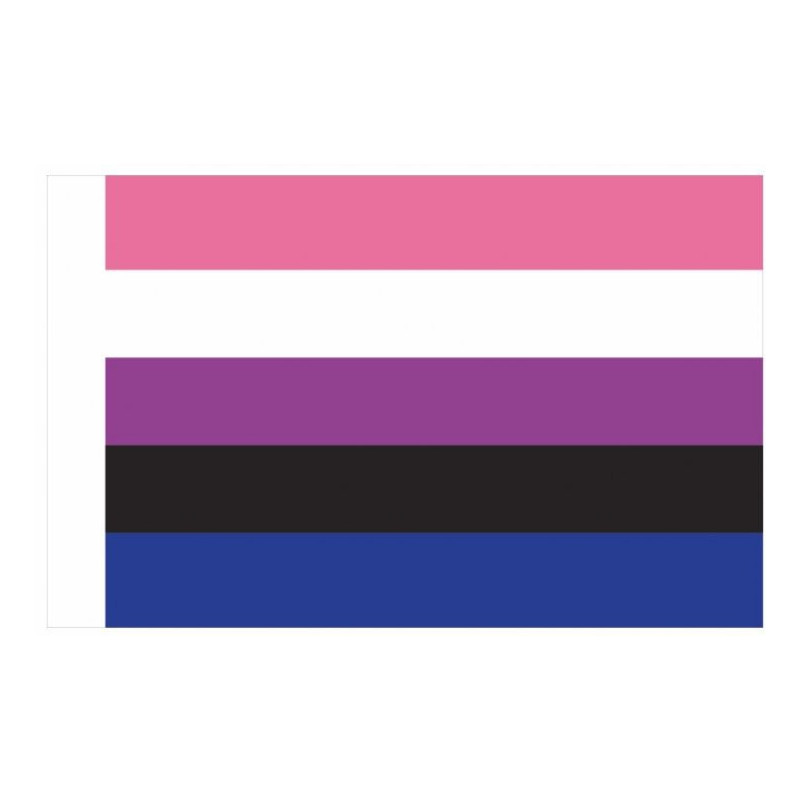 Generique Drapeau Genderfluid 90 x 150cm